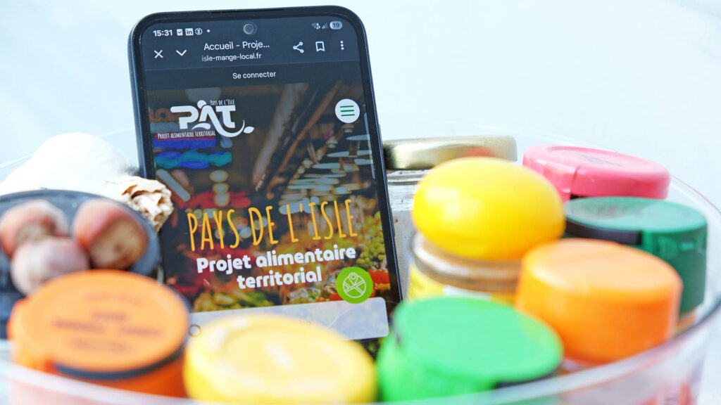 créativité webdesign