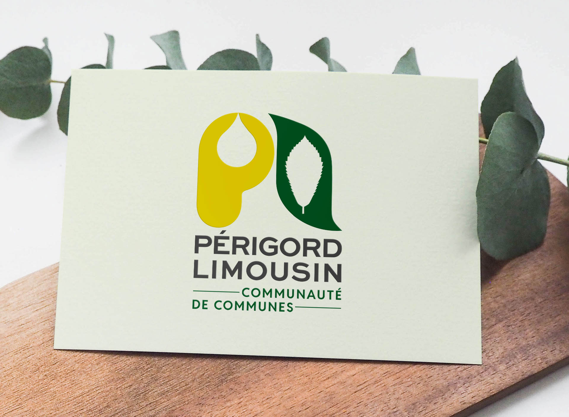 création carte de visite périgord limousin