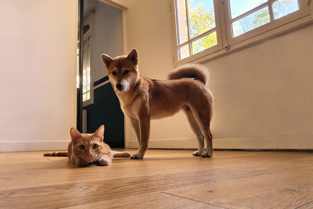 équipe Com Together